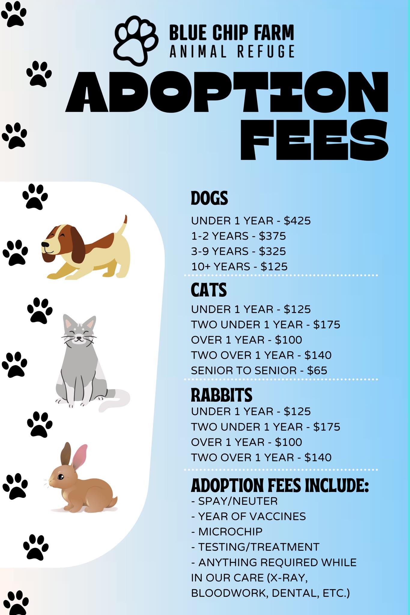 How Much is Adoption Fee for a Dog: Uncover the Costs