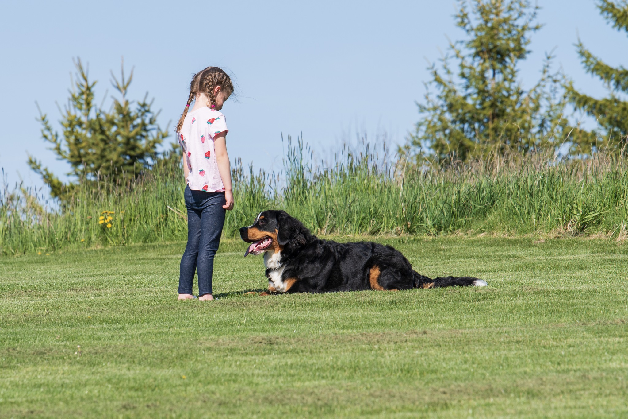 Congratulations Spencer Martin with... - Speaking Dog Is Ruff | Facebook