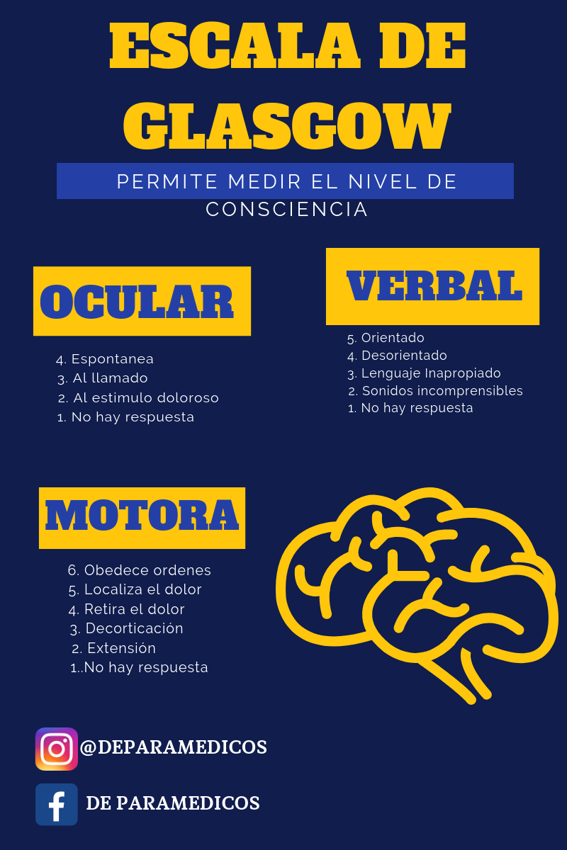 De paramedicos - La Escala de Coma de Glasgow (ECG) es una...