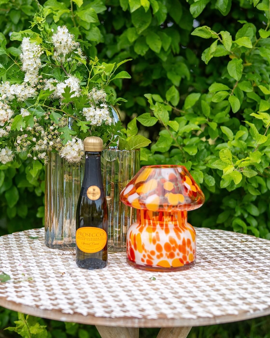 Mason - Just in time for the sunshine – meet the newest addition to our ...