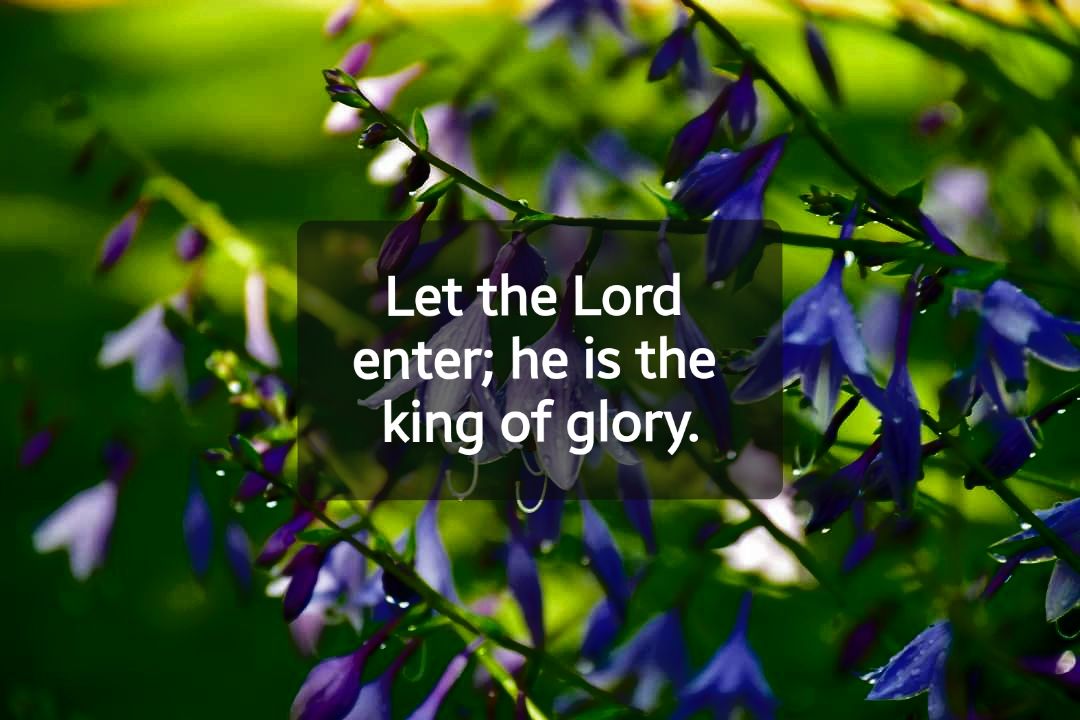 Our - December 21, 2025 Fourth Sunday of Advent Lectionary: 10 Reading ...