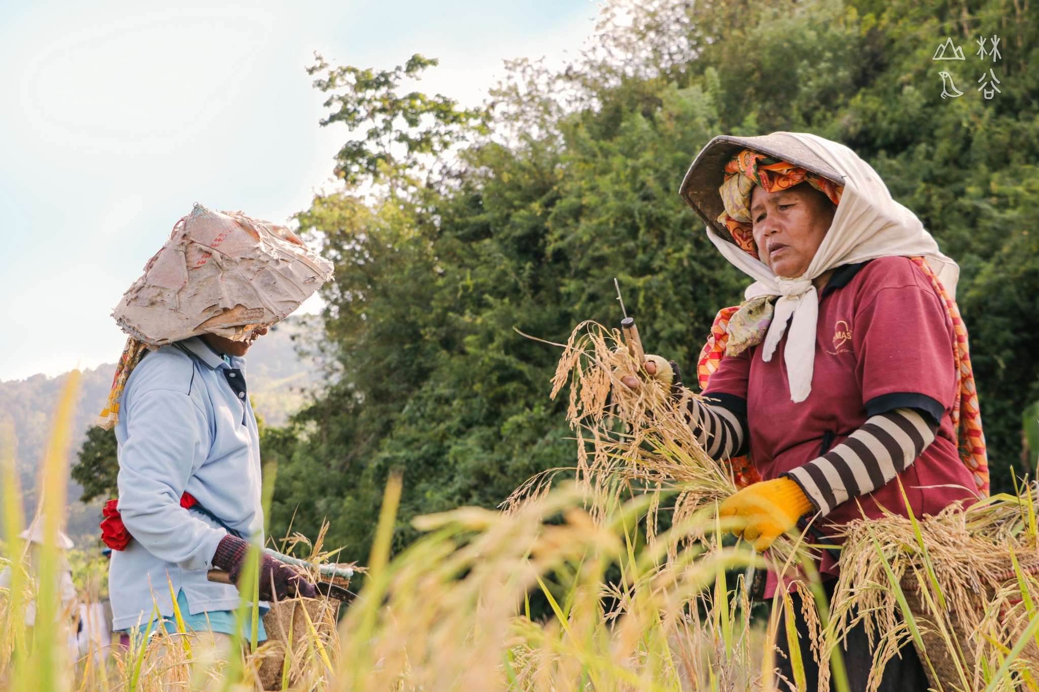 Turi Valley | Chenderiang