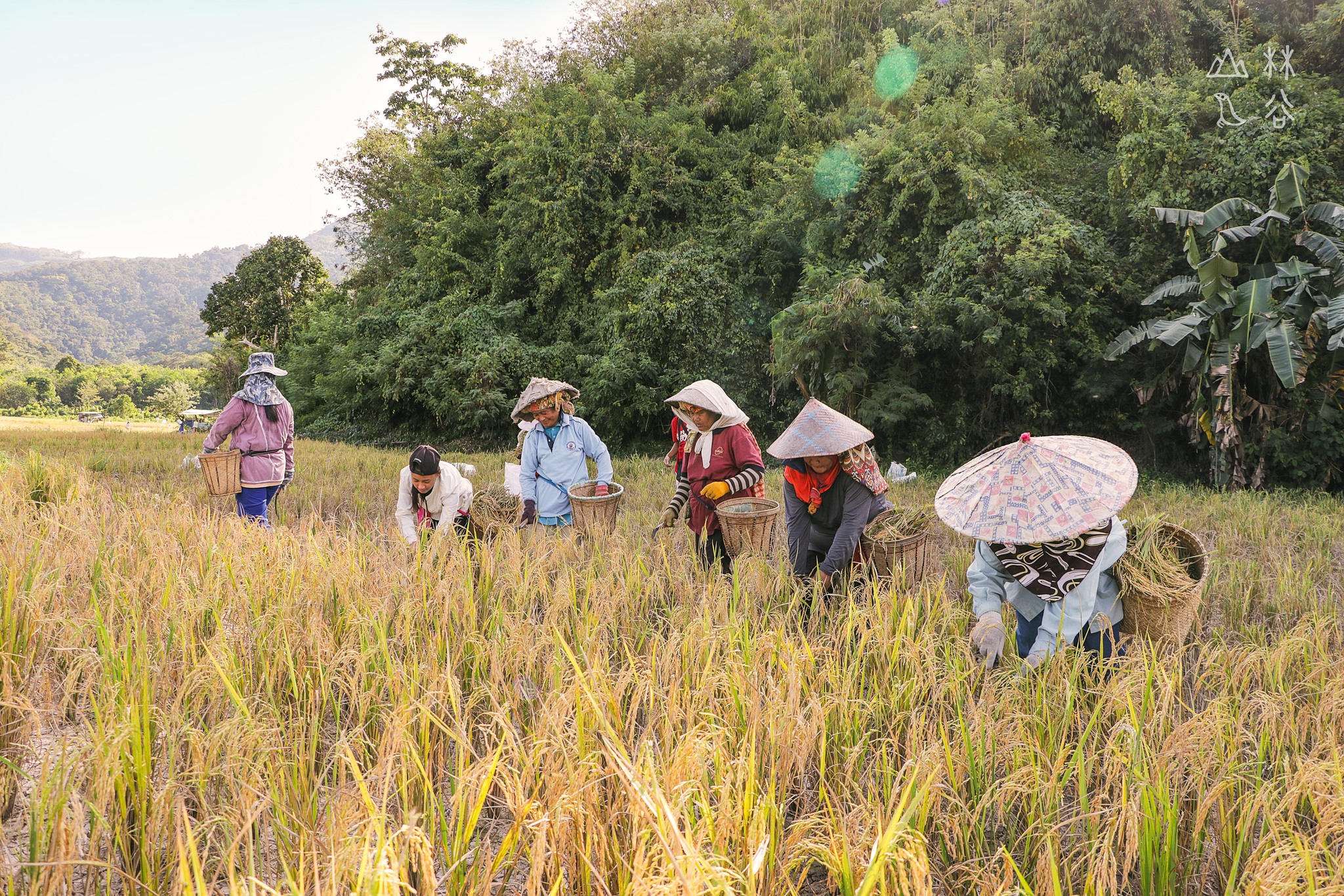 Turi Valley | Chenderiang