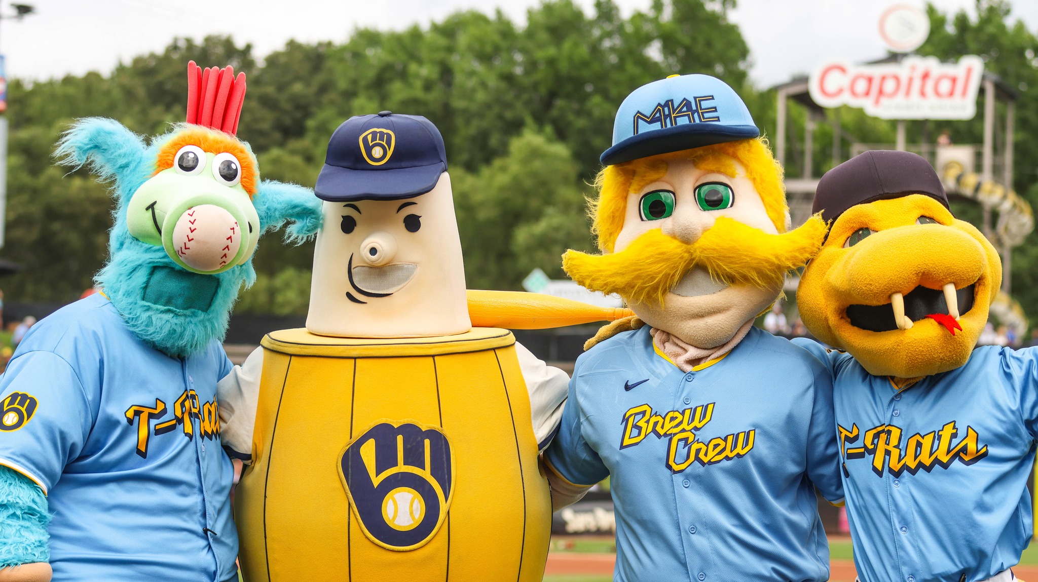 Wisconsin Timber Rattlers | Appleton WI