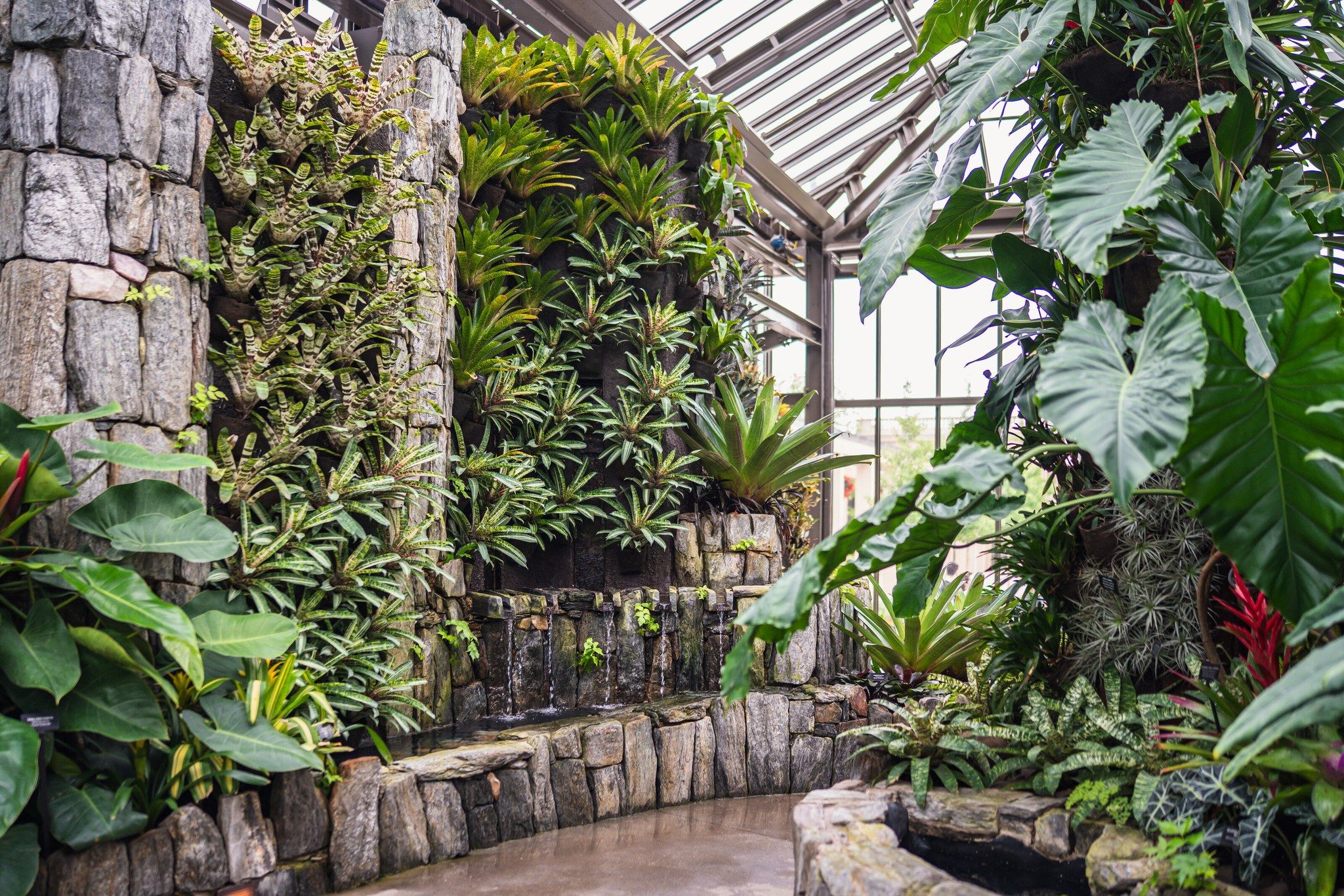 Longwood - Discover the Cascade Garden on a Spotlight Tour! Step into a ...