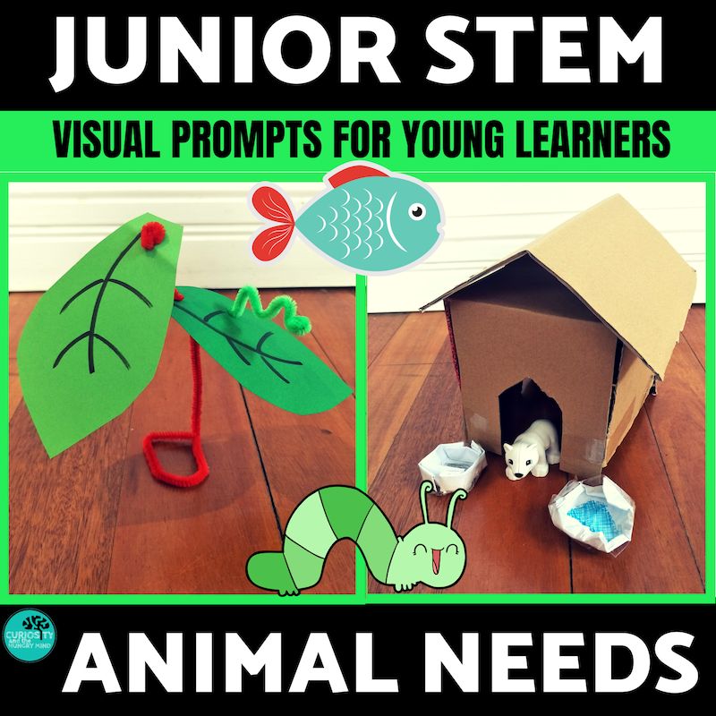 Animal... - Curiosity and the Hungry Mind - STEM for teachers | Facebook