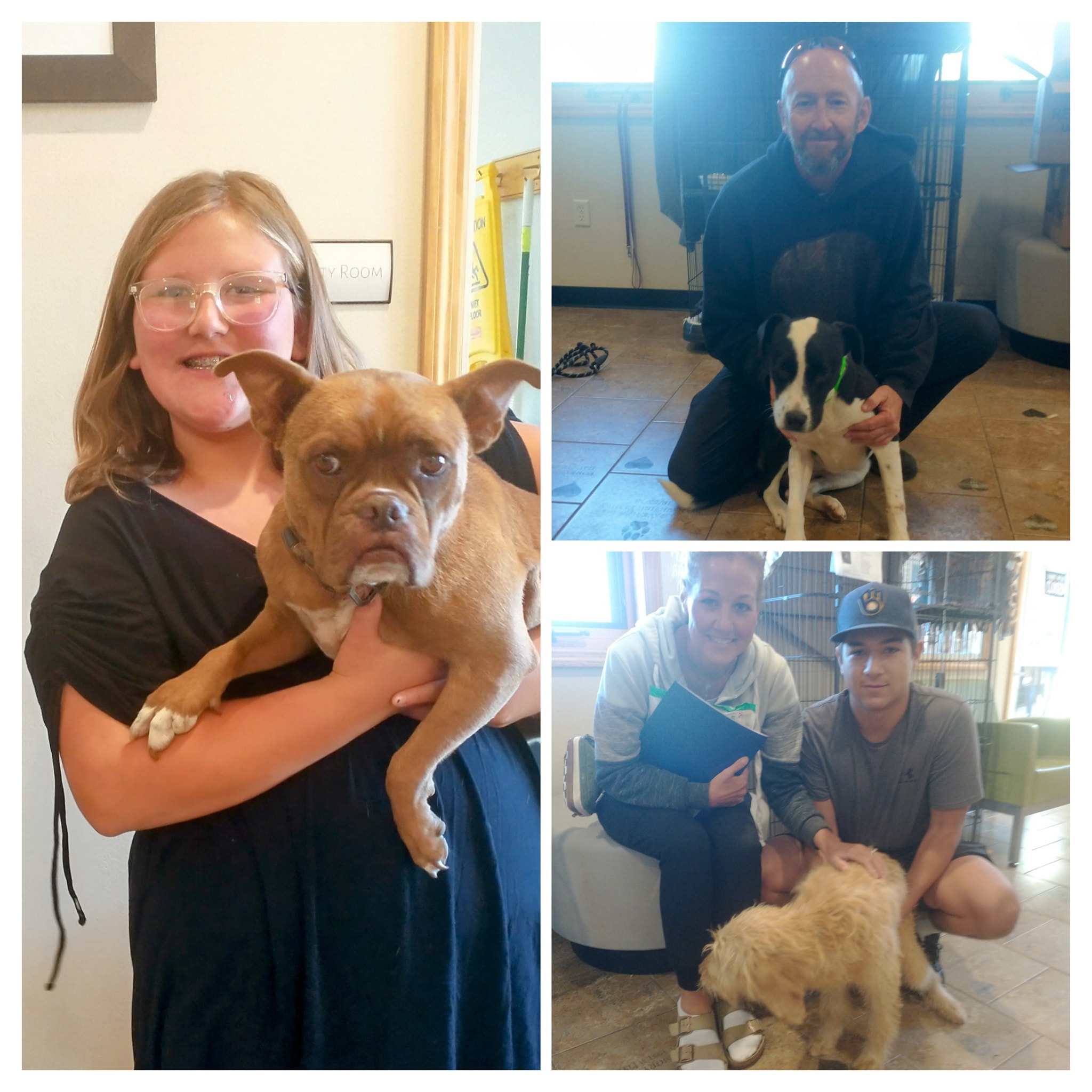 Chequamegon - Happy Gotcha Day! Congratulations and Thank You Adopters ...
