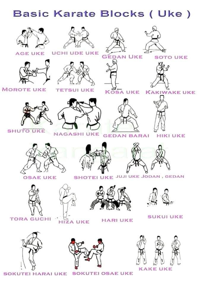 KARATE - Basic Karate blocks. | Facebook