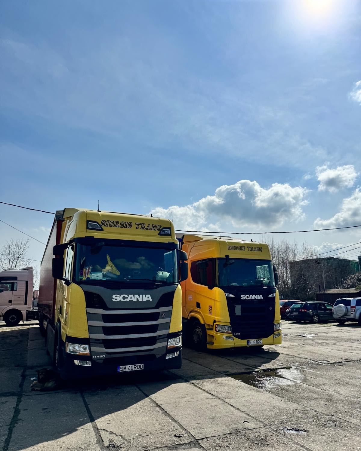 SC Giorgio TRANS SRL | Satu Mare