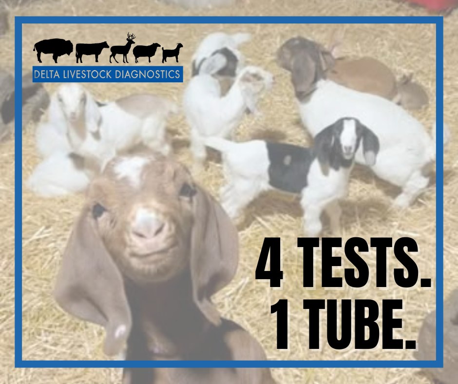 Delta - 🐐 One Tube. Four Tests. Total Confidence. 🧪 Testing your goats ...