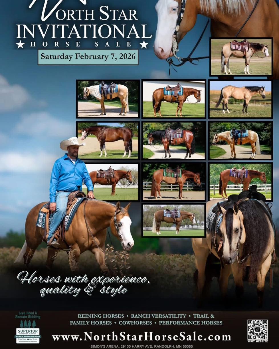 Westbound - North Star Invitational Horse Sale 𝐖𝐄𝐄𝐊𝐄𝐍𝐃 𝐒𝐂𝐇𝐄𝐃𝐔𝐋𝐄 ⬇️ ...
