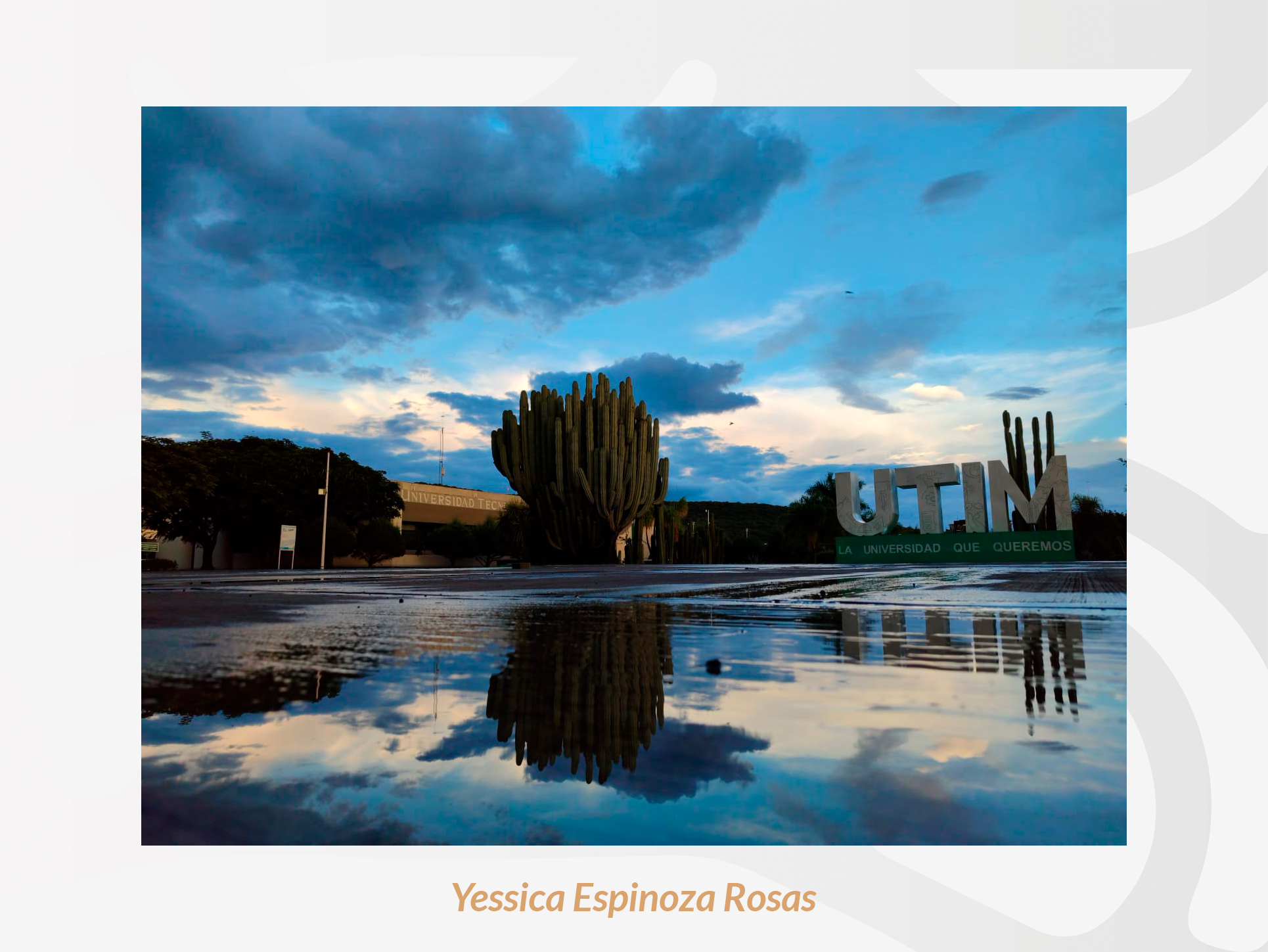 UTIM - 📸 ¡Ya están aquí las fotos del Concurso de... | Facebook