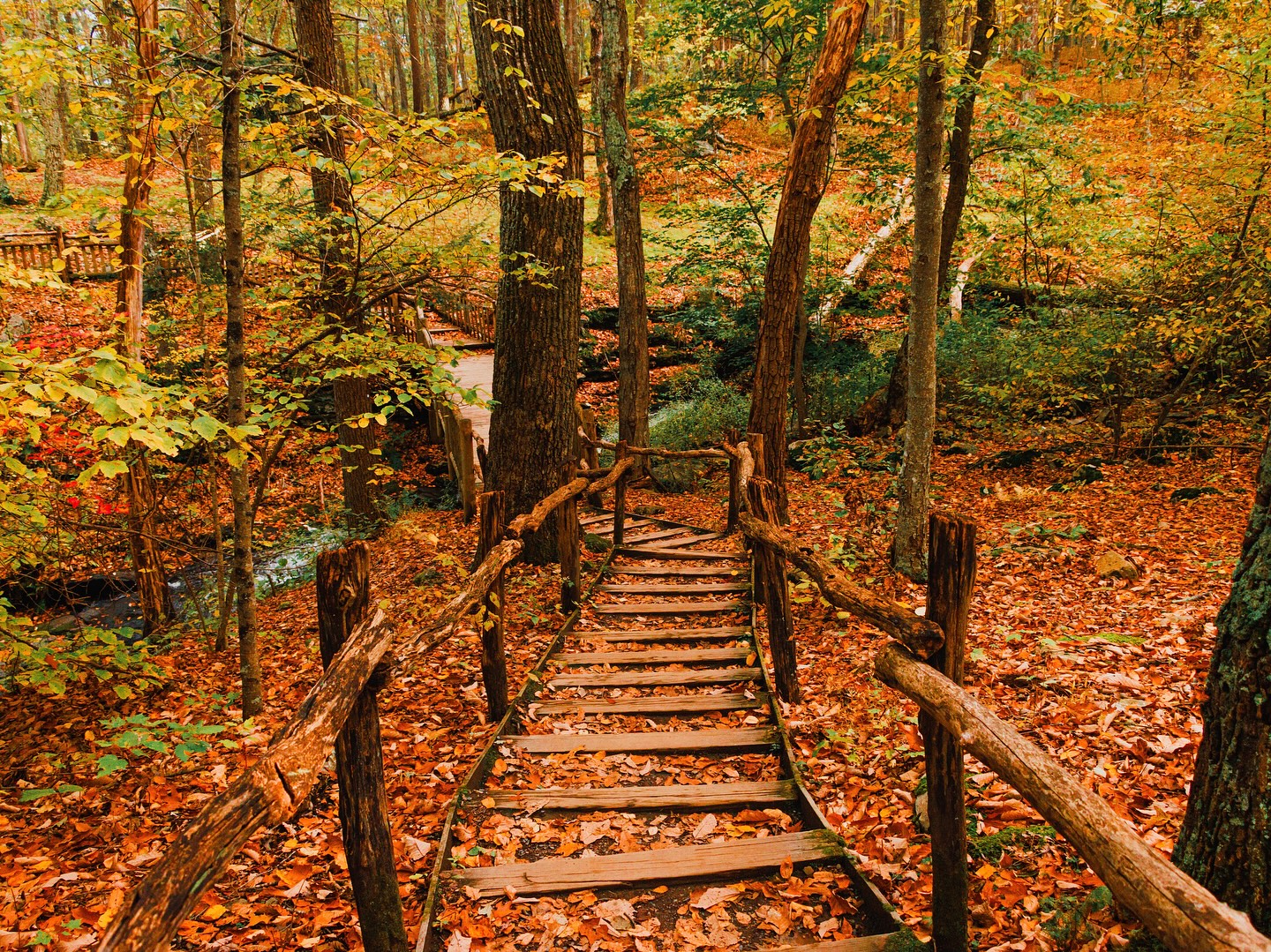 Bushkill Falls | Bushkill PA