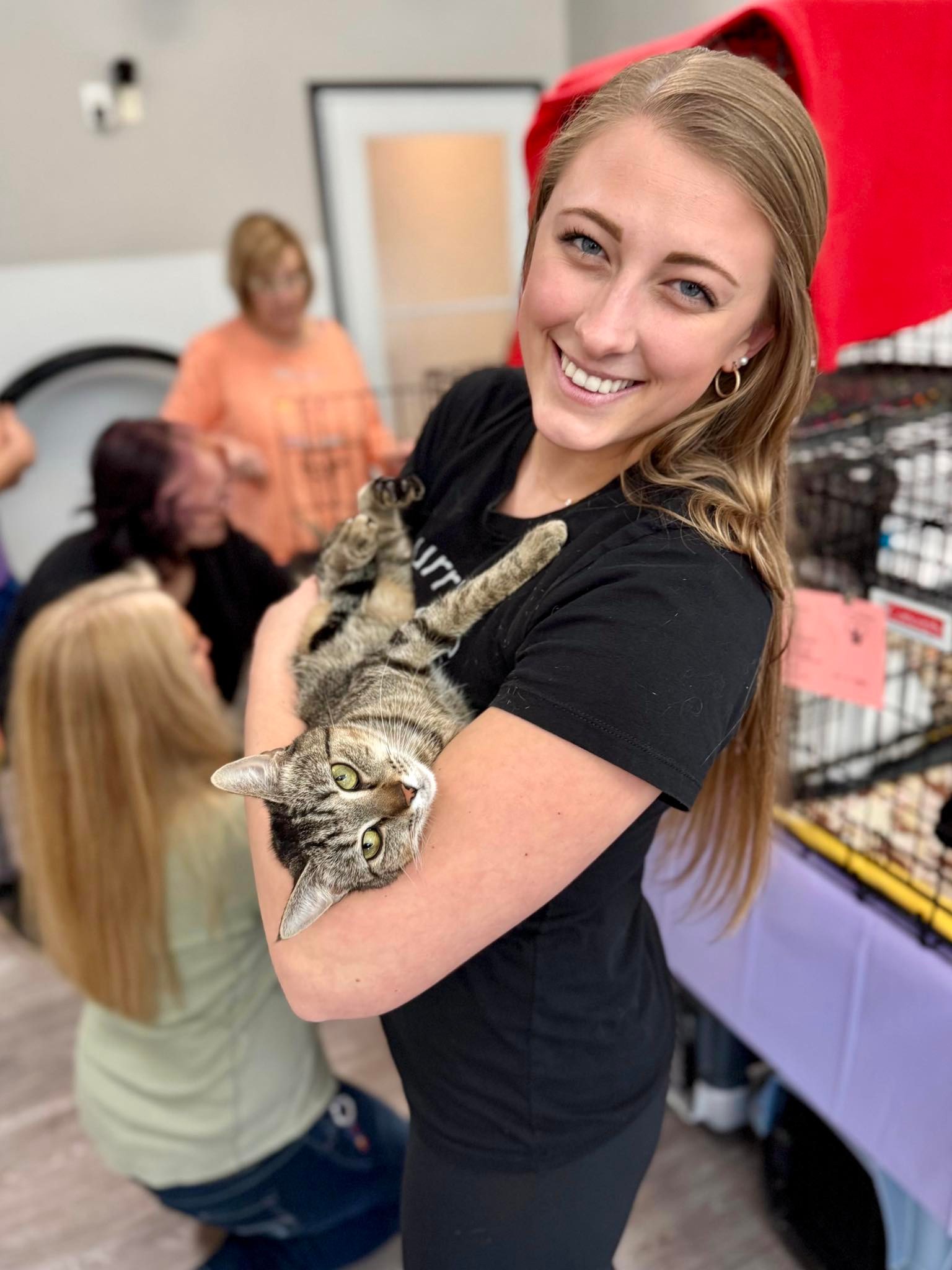 Triad Independent Cat Rescue | Greensboro NC