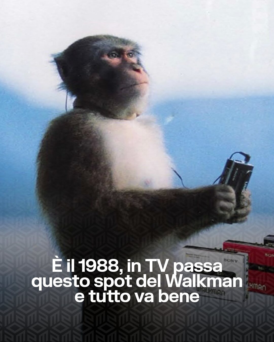 Sai che una scimmia ha fatto la storia della pubblicità? 🐒 Nel