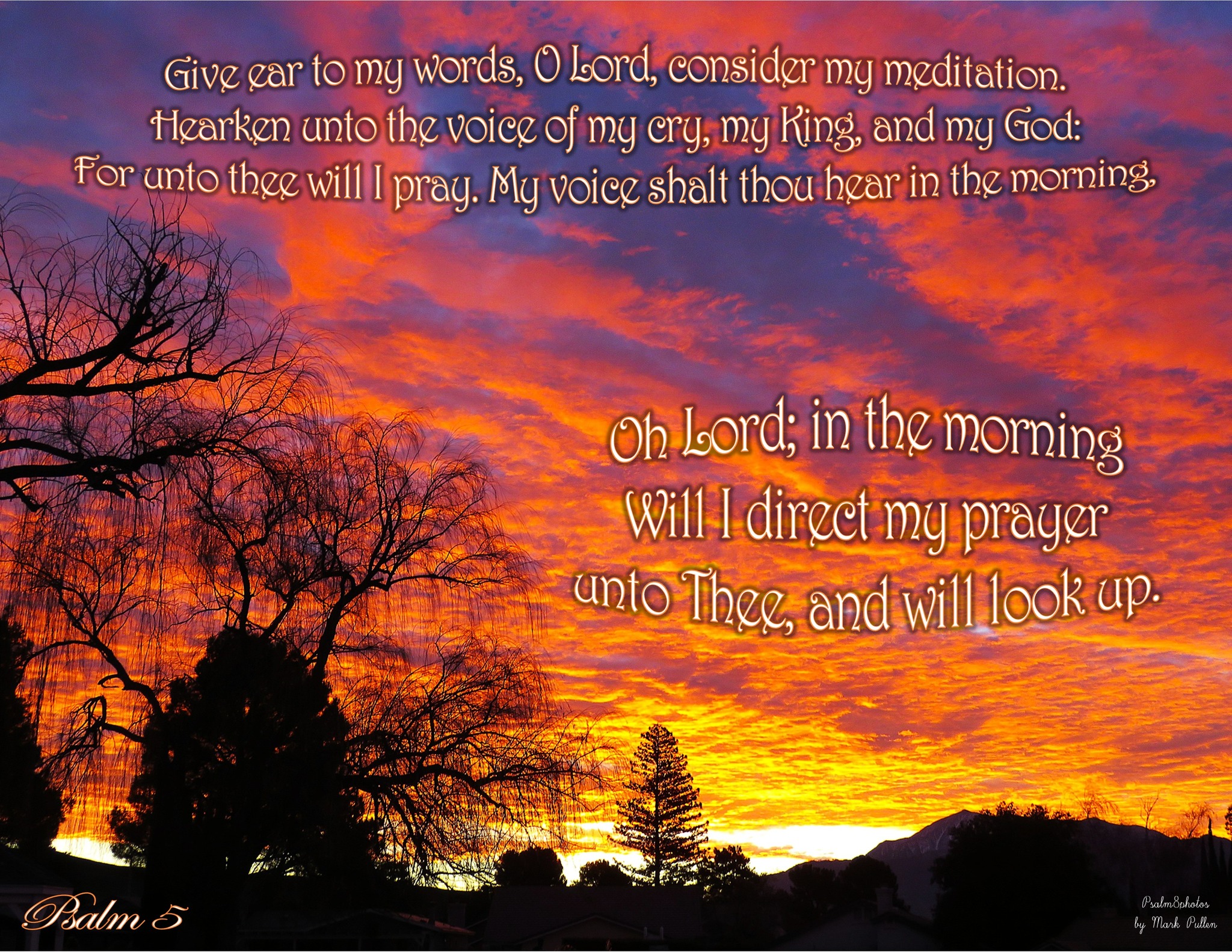 Roar - KING DAVID HITS THE NAIL ON THE HEAD! Psalm 5:1-3 O LORD, hear ...