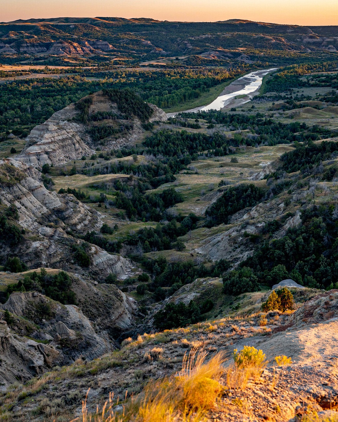 Medora Area... - Medora Area Convention & Visitors Bureau