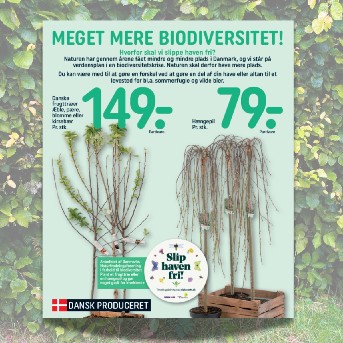 Rema - MEGET MERE BIODIVERSITET 🦋🐝 Slip din have fri sammen med REMA ...