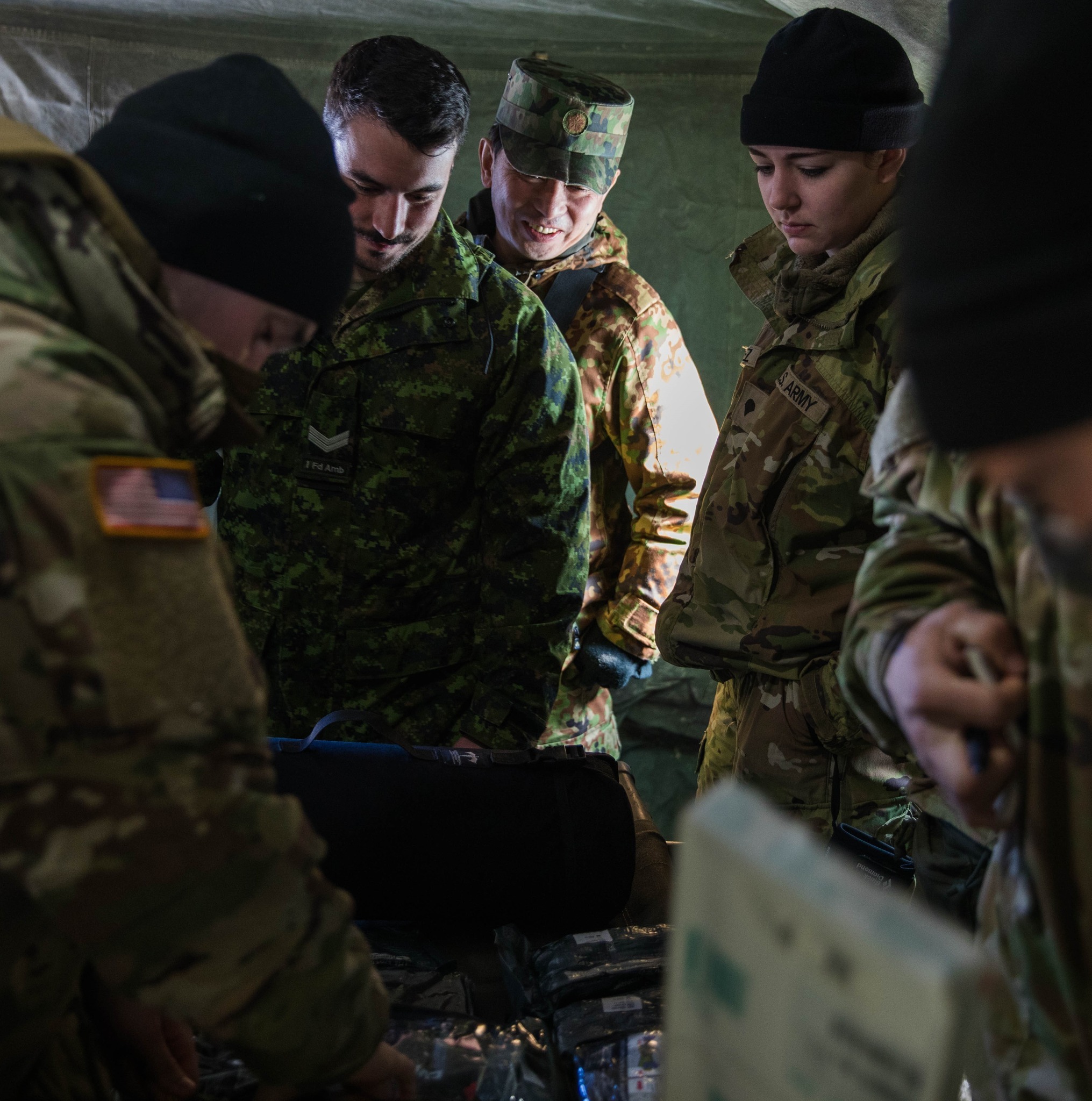 Commandement des opérations interarmées du Canada