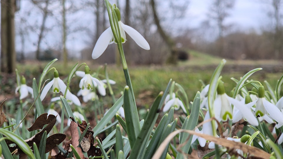 Het Groenbedrijf added a new photo. - Het Groenbedrijf