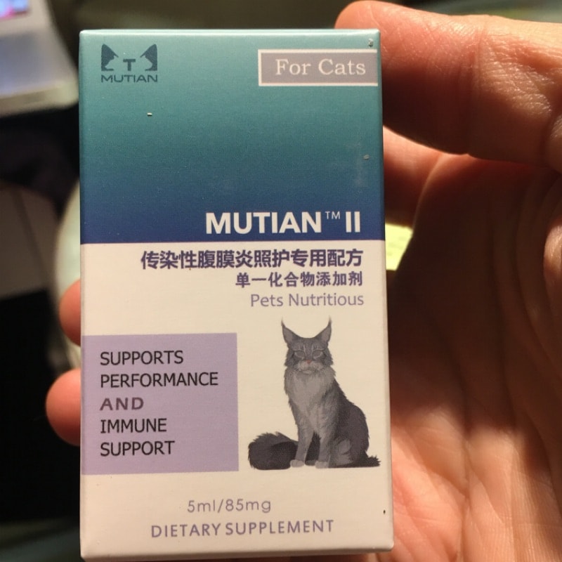 FIP /腹膜炎/ 香港&澳門治療資訊