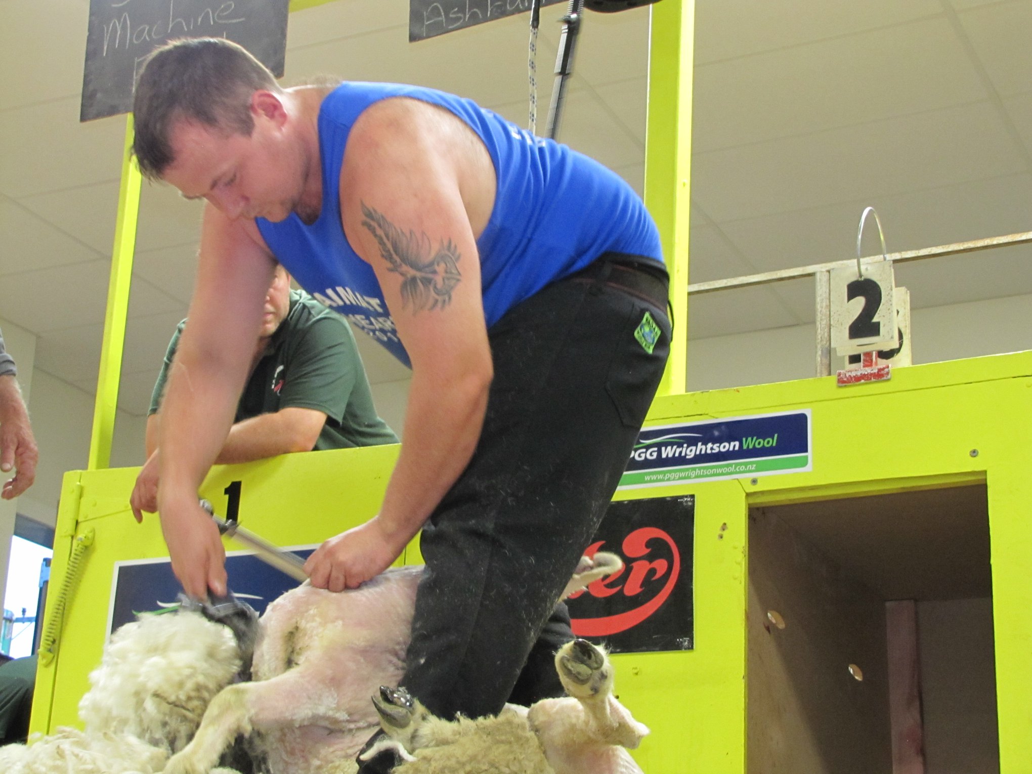 Pyper makes it two in a row... - Shearing Sports New Zealand