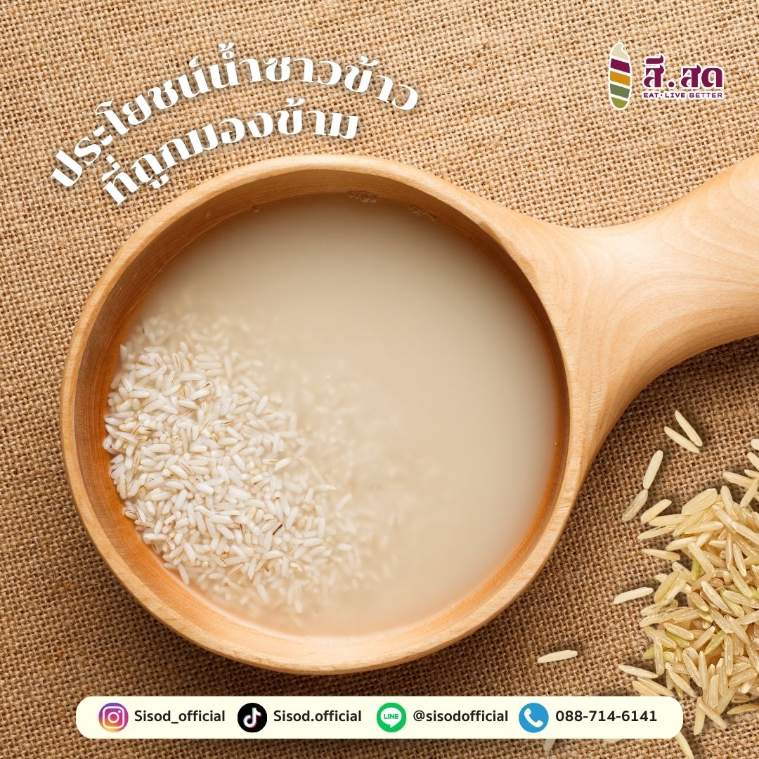 สีสด - SISOD - โปรตีนในน้ำซาวข้าวจากข้าวกล้อง... | Facebook
