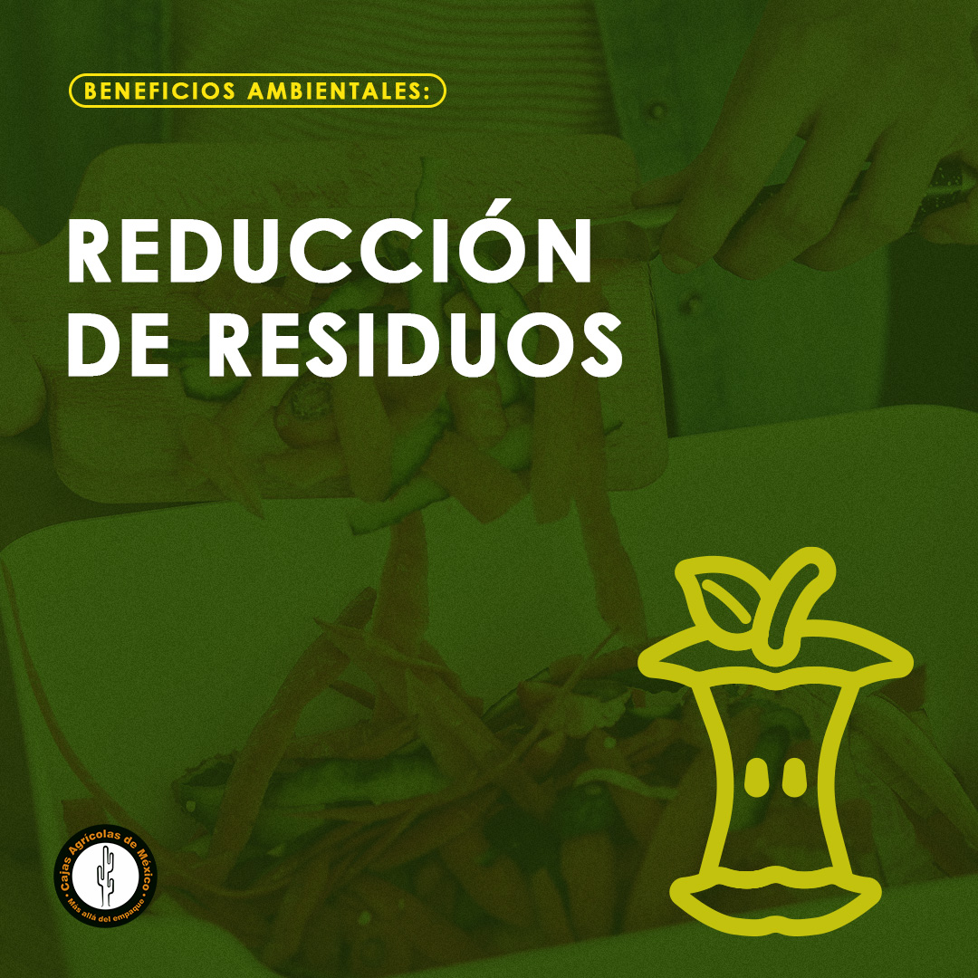 Cajas Agrícolas - IFCO suministra contenedores de plástico ...