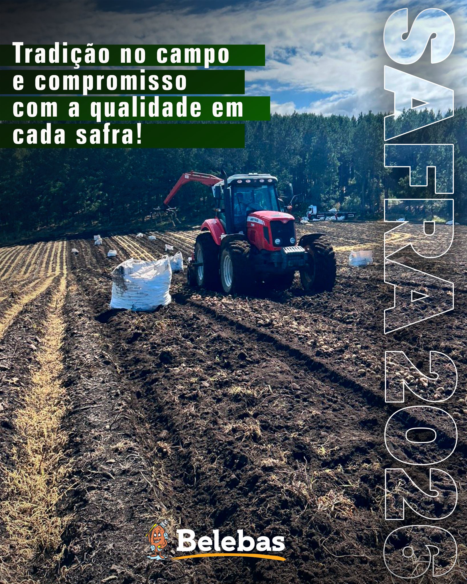 Belebas - A nossa safra 2026 reflete uma longa trajetória no plantio ...