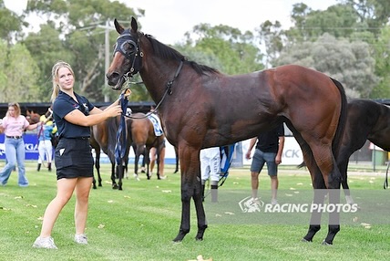 Jason Warren Racing | Mornington VIC