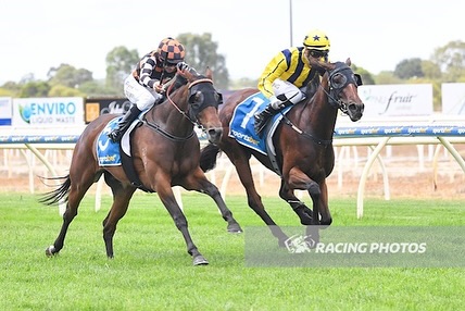 Jason Warren Racing | Mornington VIC
