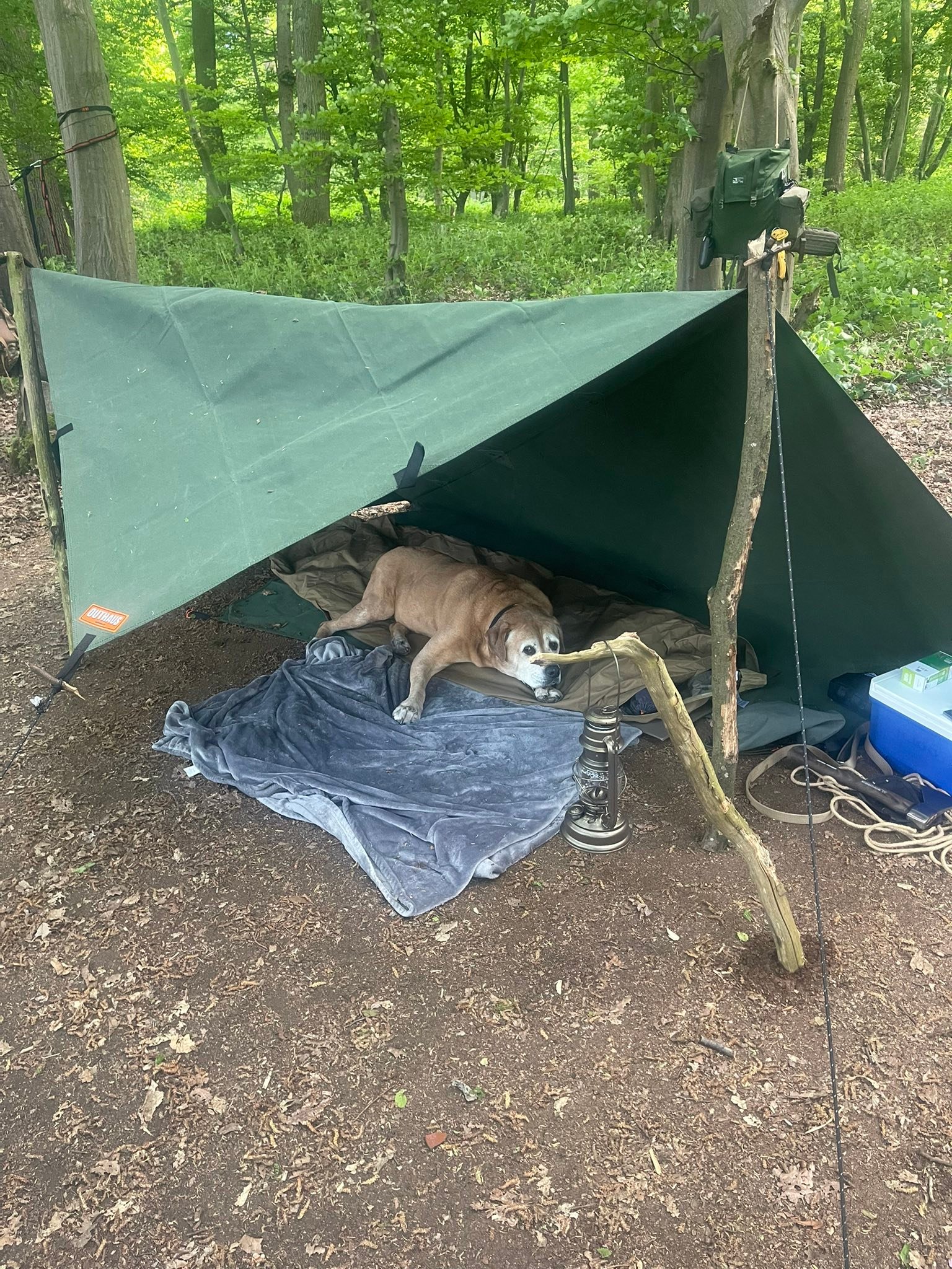 tarp 9x12 RUGGED RHINO Heavy Duty Waterproof Reinforced Corners 2Pk Silver Farbe:dotty BOEN BT-5050 50' x Schaumstoffdichtband by 12 ft