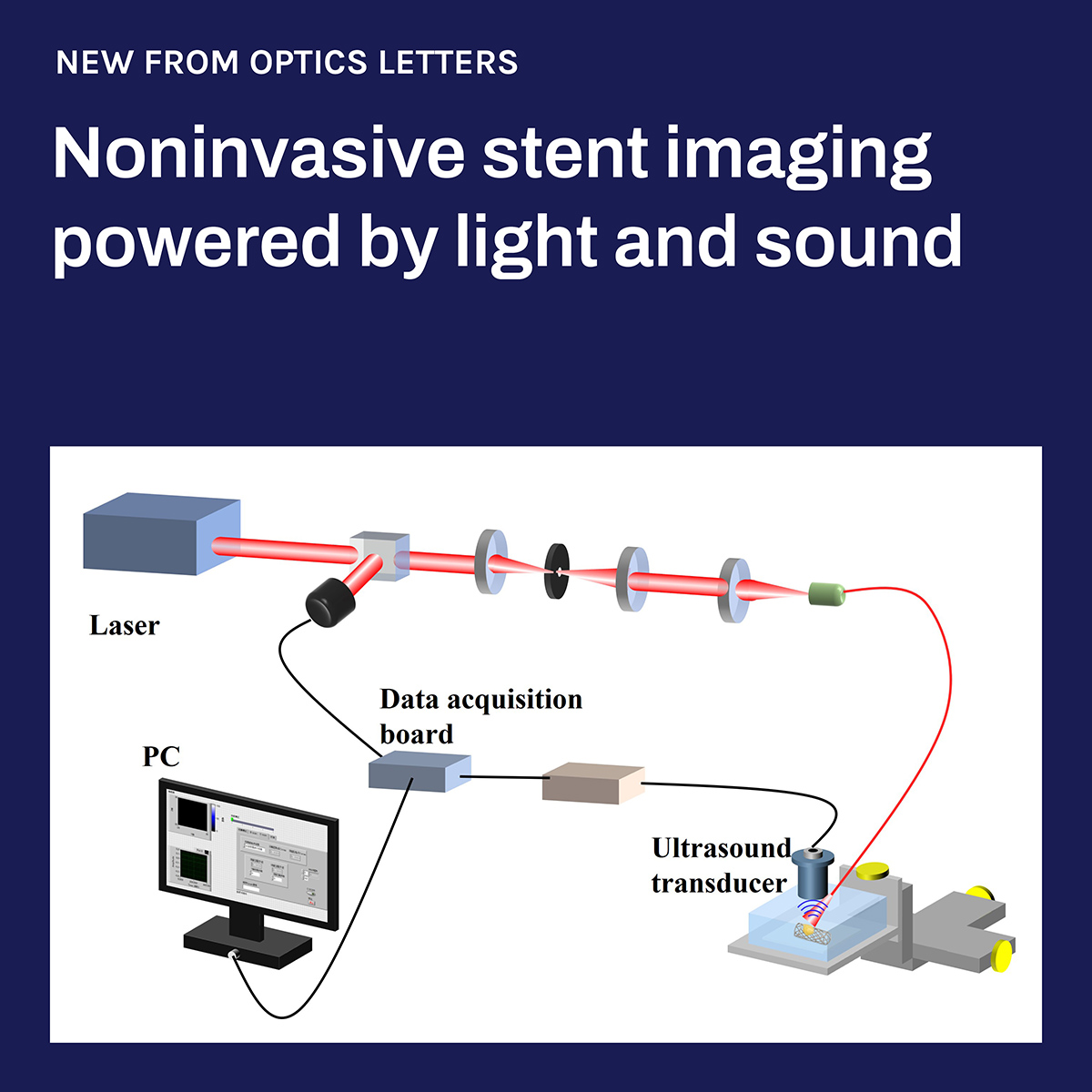 Researchers have recently demonstrated, for the first time, that