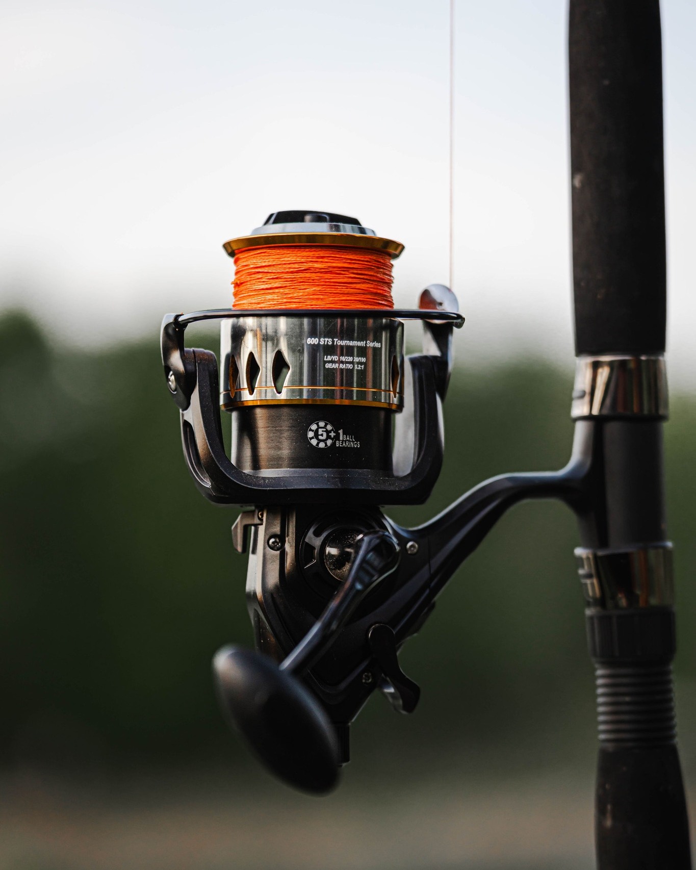 Catfish PRO