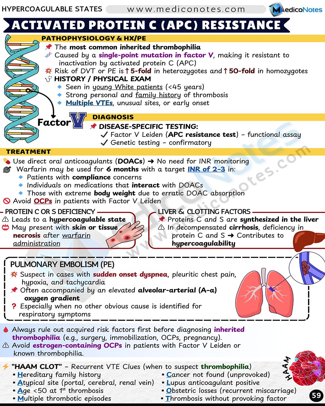 Thrombophilia: causes ## Inherited Gain of function polymorphisms * factor V Leiden (activated protein C resistance): most common cause of thrombophilia * prothrombin gene mutation: second most common cause Deficiencies of