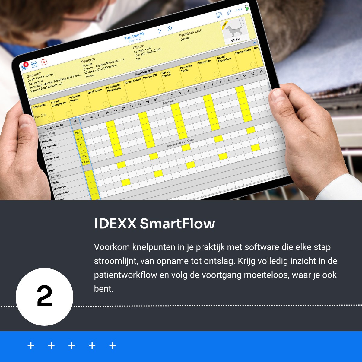 IDEXX Animana - Our third webinar is coming soon! If you haven’t ...