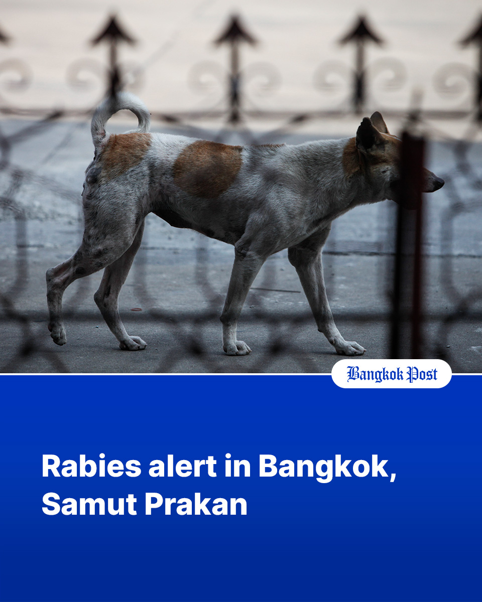 Bangkok - A rabies alert has been issued for parts of Bangkok and ...