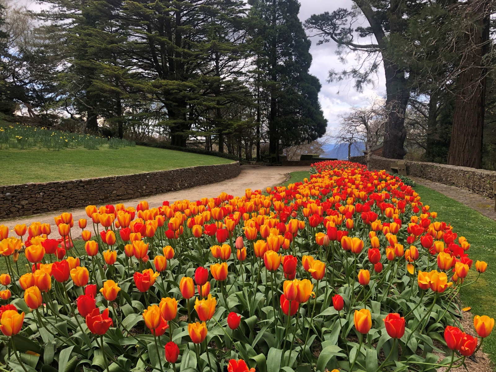 Discover the Blue Mountains | Facebook