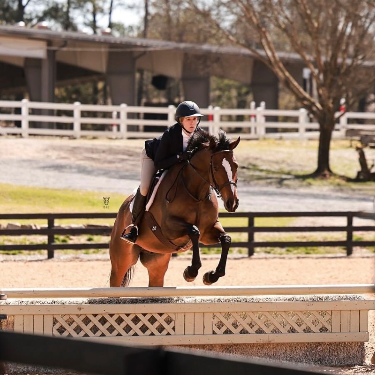 Falcon Ridge Stables | Woodstock GA