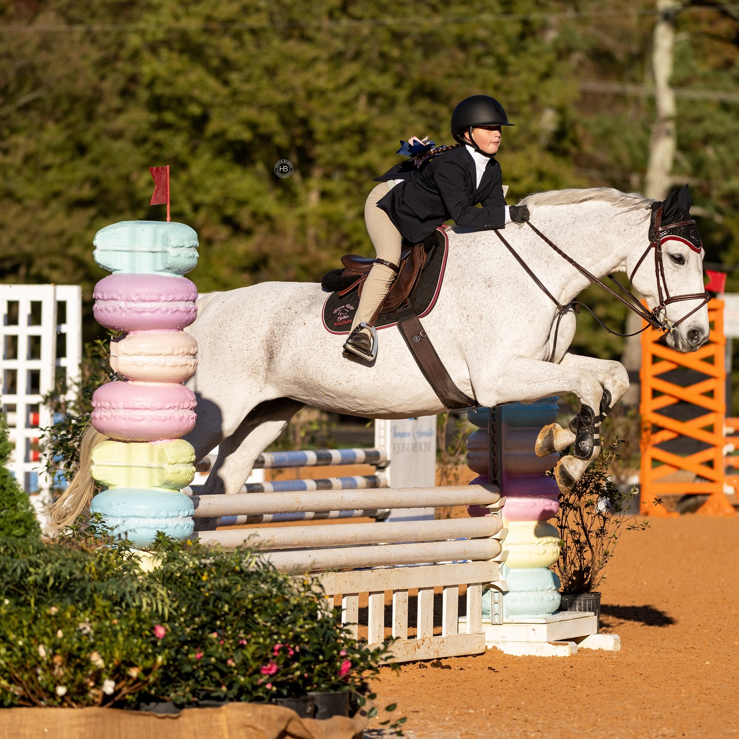 Congratulations to our Local Show... - Falcon Ridge Stables | Facebook