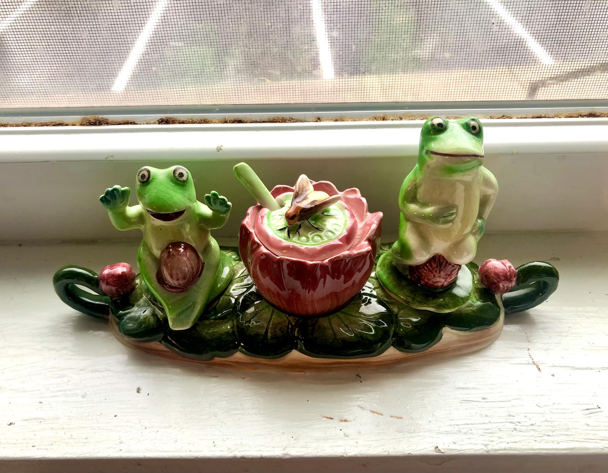 Frog themed cookie jar and shakers set