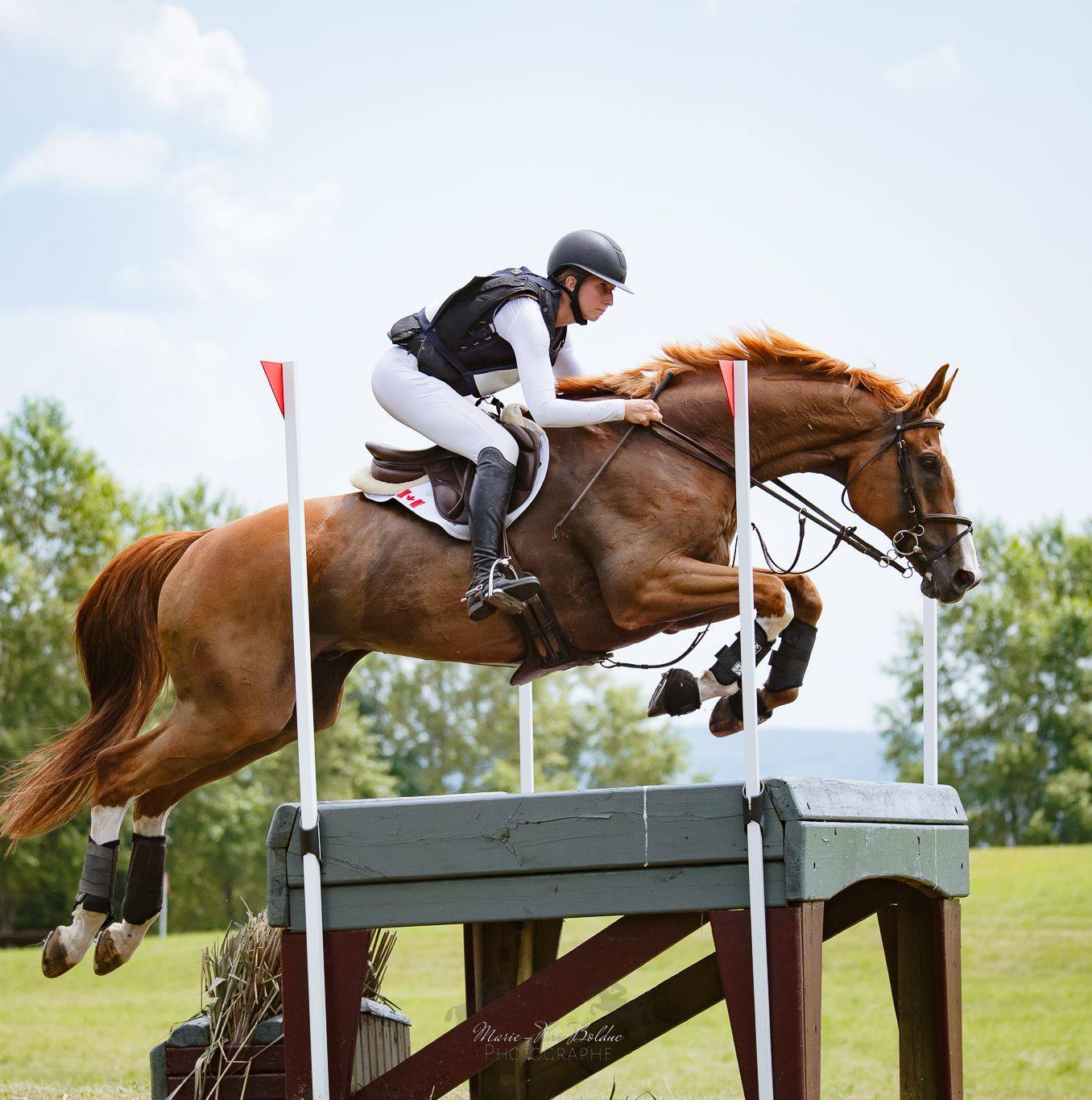 Justin Ridgewell Dressage | Collingwood ON