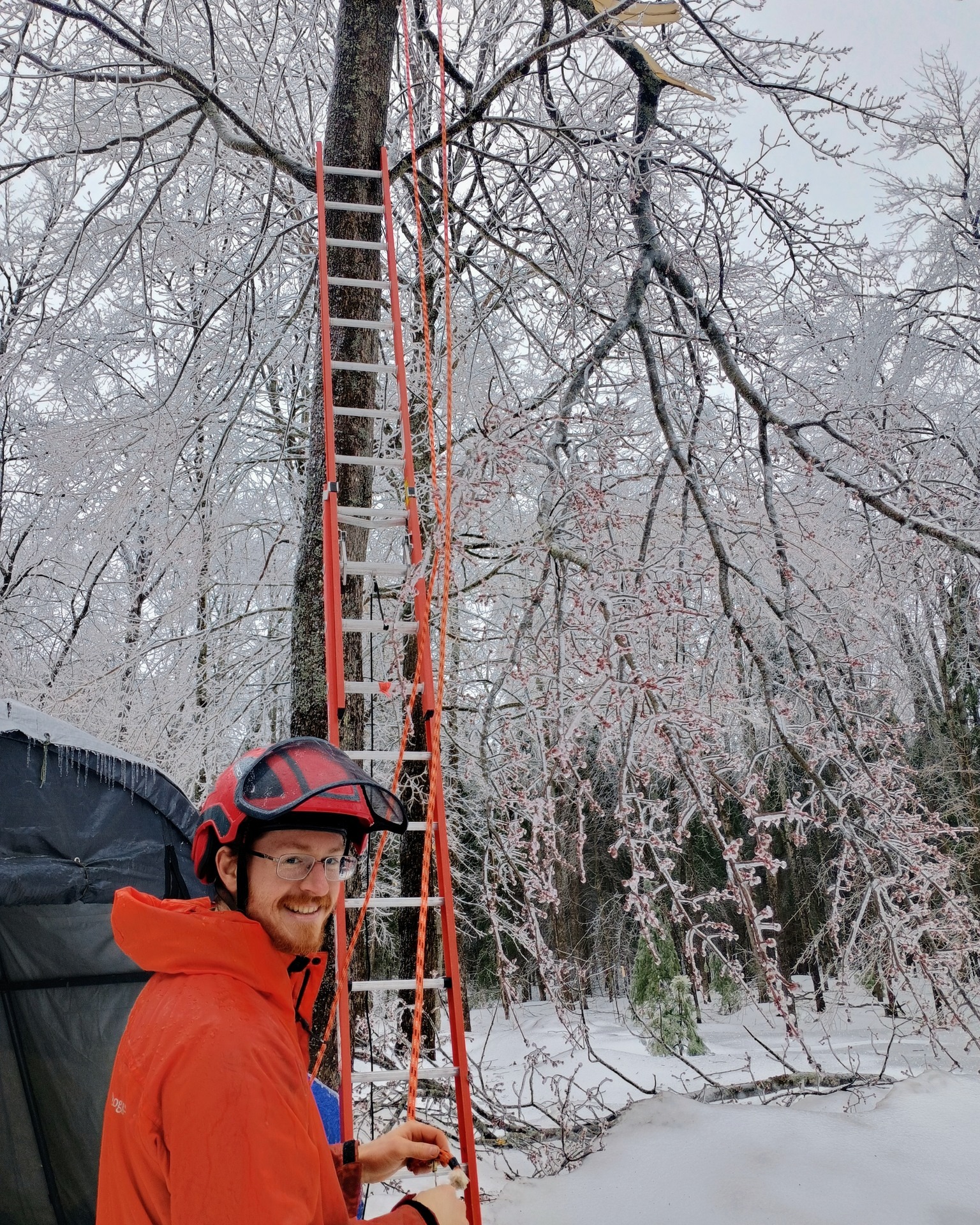 Outram Tree Solutions