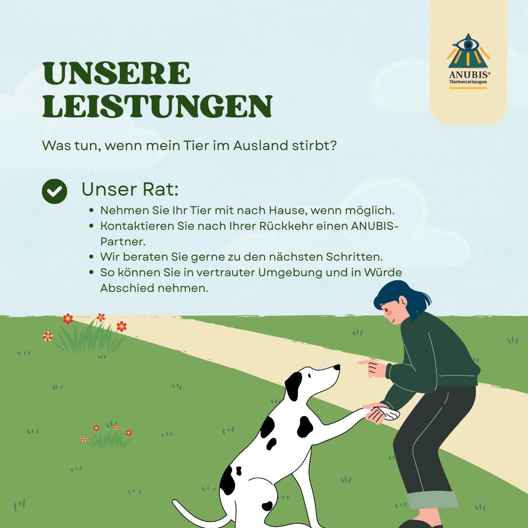 ANUBIS-Tierbestattungen - Bei einer Sammeleinäscherung werden einige ...