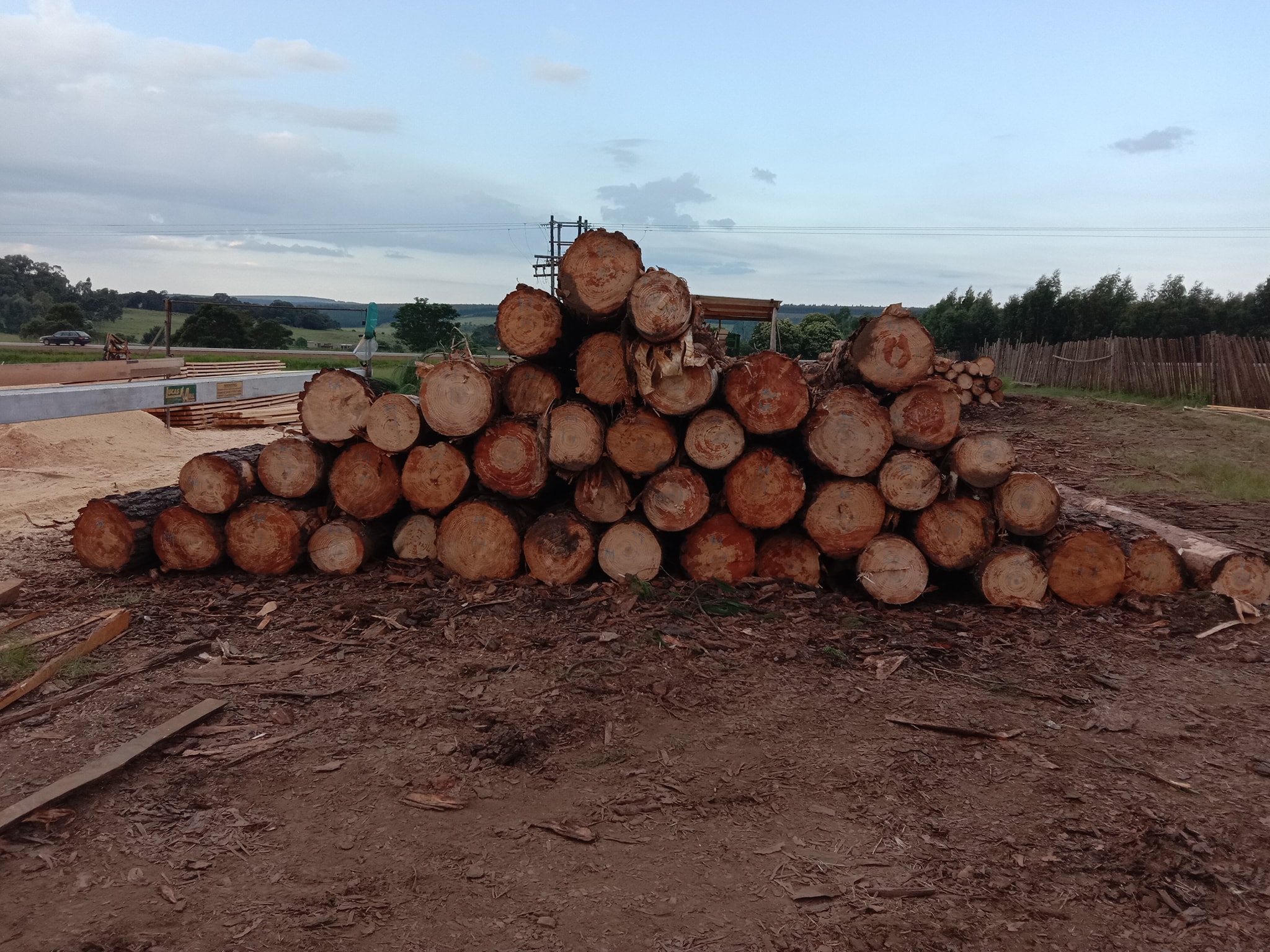 Team Infinity Timber | Mkhondo