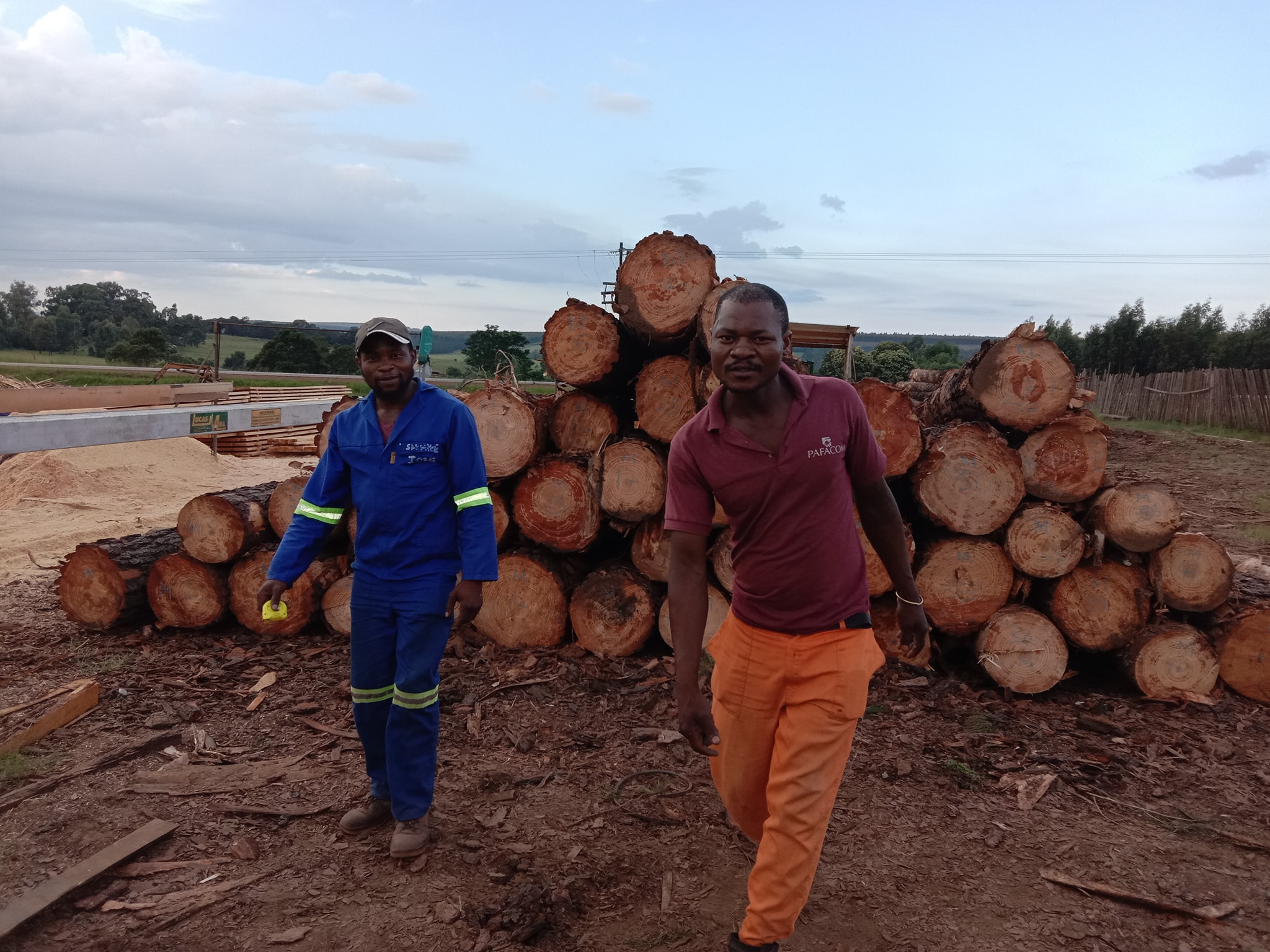 Team Infinity Timber | Mkhondo