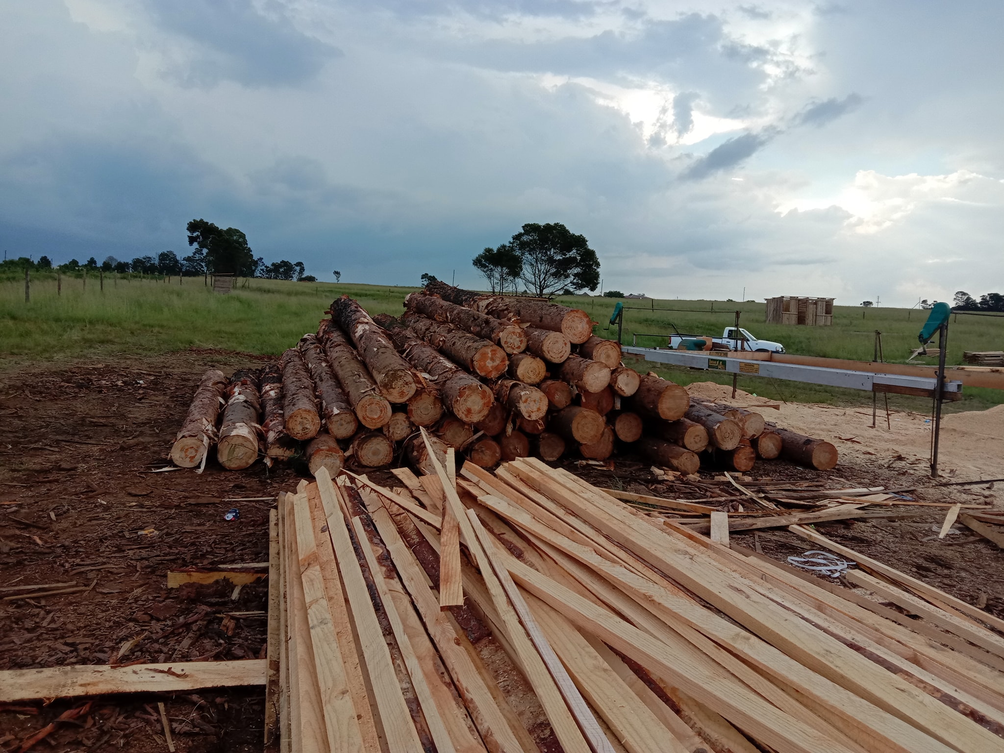 Team Infinity Timber | Mkhondo