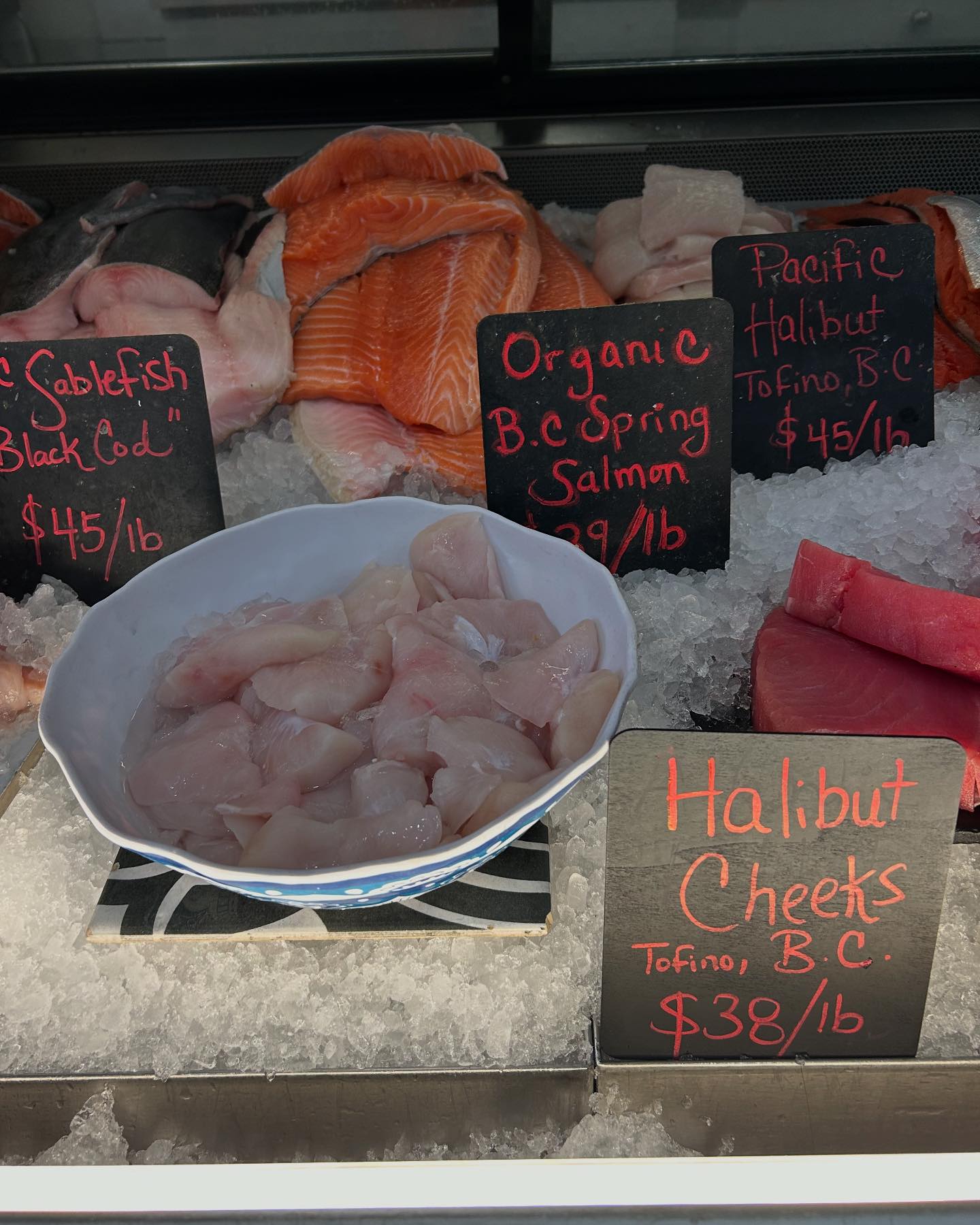 Hooked on the Danforth | Toronto ON