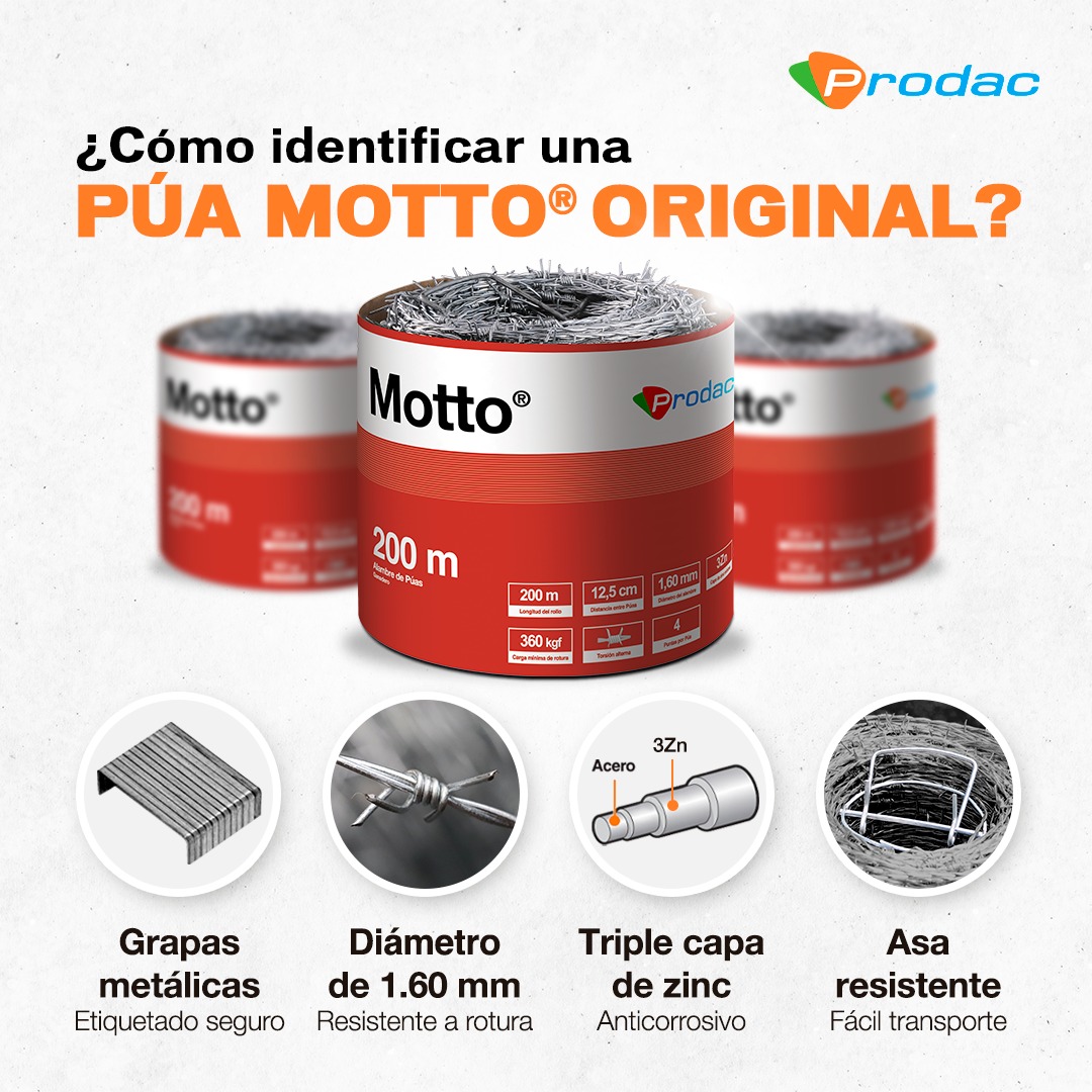 Prodac - 🐄 Elegir lo mejor para tu ganado es cuidar tu... | Facebook