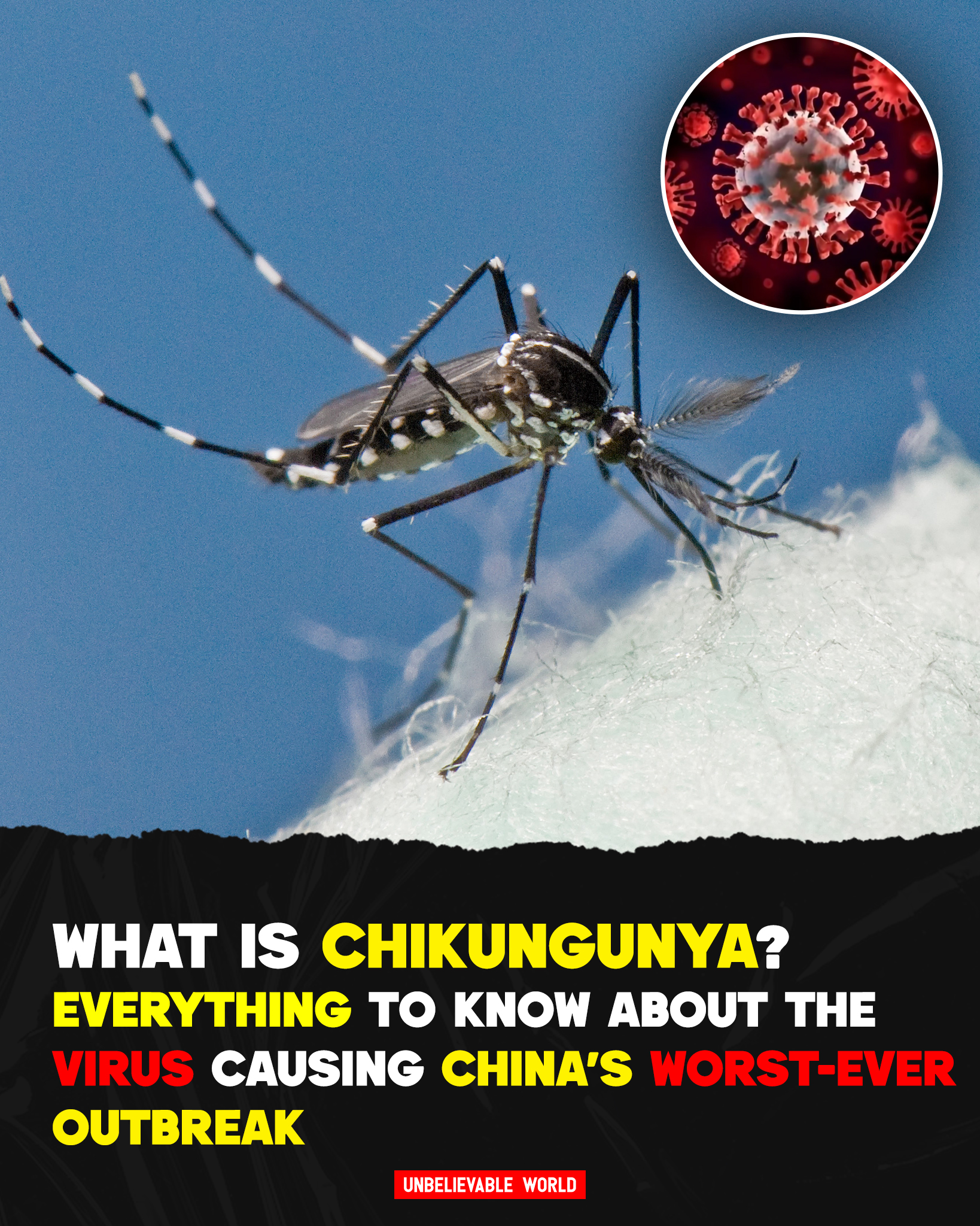Unbelievable - China Faces Its Worst-Ever Chikungunya Outbreak Southern ...